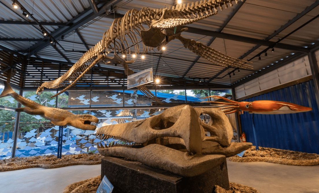 Museu da Vida Marinha Ubatuba: Uma Visita Imperdível para os Amantes do Mar